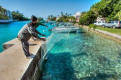 Two fishermen hunt for anchovy in Flatt's Inlet.